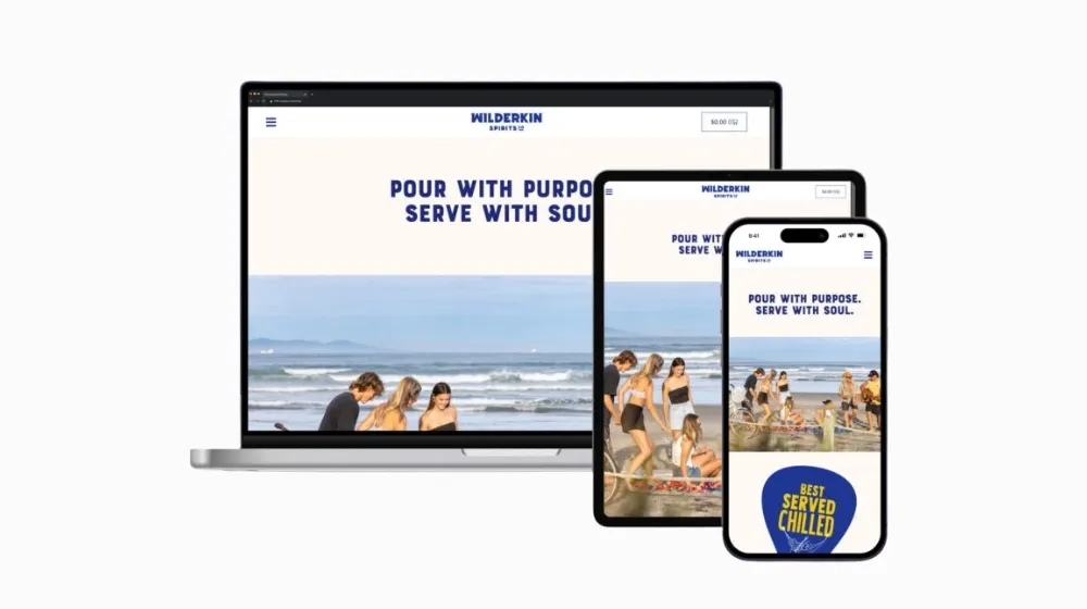 Premium Vodka Brand website